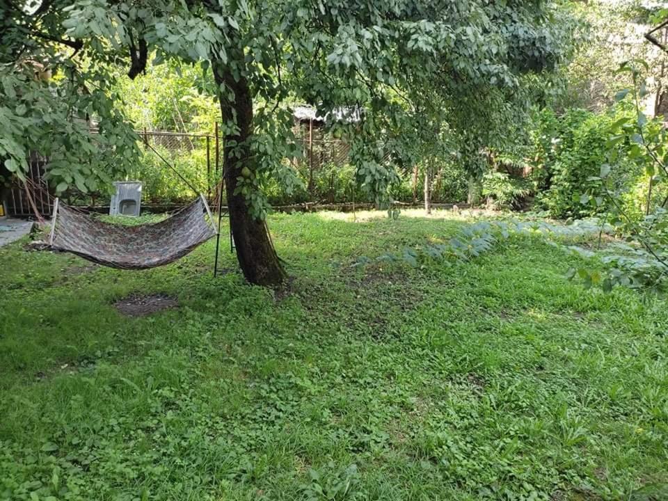 Family House In Racha, Oni Lägenhet Exteriör bild